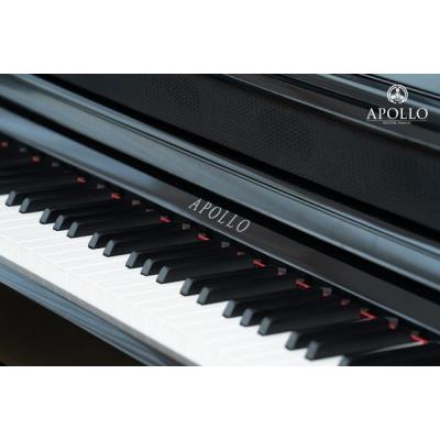 Piano Apollo KP-88